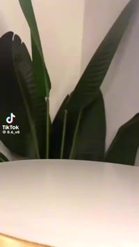 مكياج • النتايج بالصوره