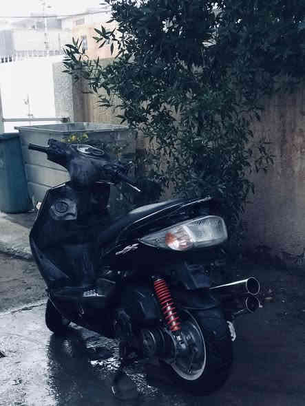 سلام عليكم سكنس فحل للبيع او مراوس بجبلي دراجه كامله اي نقص مابيها صالنصه قطعتين 
بكلايت شفاف اشاير لد 
رقم ***********
بغداد الحسينيه مال راجديه
