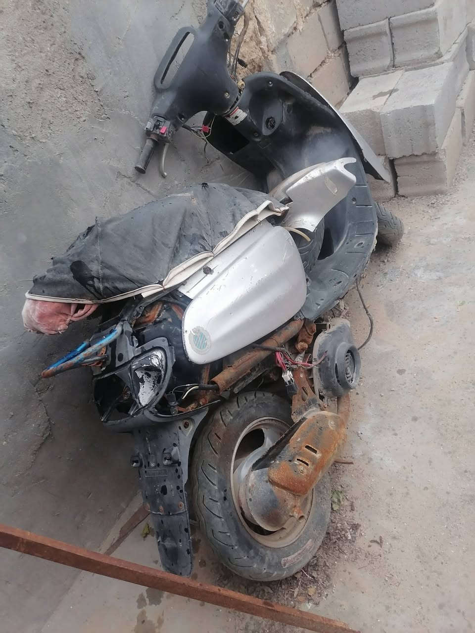 مرحبا شباب بيجي 9 زروف رب ماباقي راسه ابيعها كوم حديد الياخذها اتعبه حيرتني مشكلته التايرات نضيفات اصليه اليريد يفصخها ويبيعها تفيده اليجفتها تكفره 600 كفره عدل وكبل لشماعيه عنواني زبير يم معمل البترو الشراي يذب سعره


**إذا كنت صاحب هذا الإعلان وتريد حذفه لأي سبب، رجاءا أرسل رسالة إلى الدعم الفني**