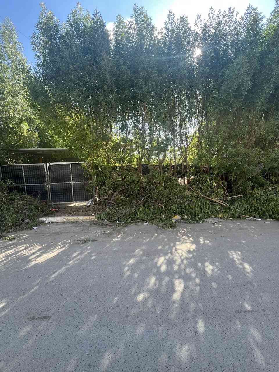 بيت 300 متر للبيع ركن  مقابيل البيت تشجير 
واجهة العقار 15 متر ونزال 20 متر. 
البيت يباع بسعر قطعة ارض 
موقع العقار حي الجهاد السمجة قرب ماركت بيتي مجاور الاطباء 
موقع مميز 
للاستفسار اكثر 
***********
