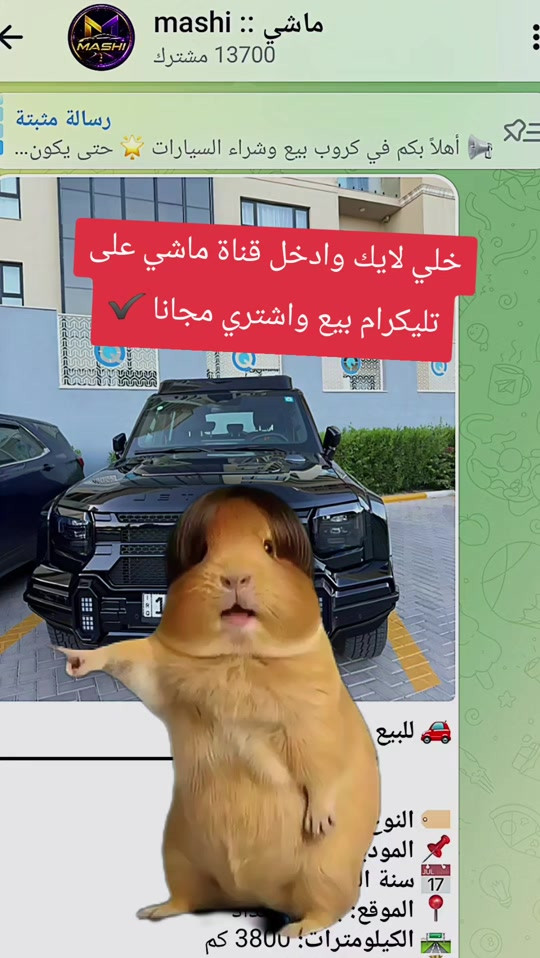#CapCut 


**إذا كنت صاحب هذا الإعلان وتريد حذفه لأي سبب، رجاءا أرسل رسالة إلى الدعم الفني**