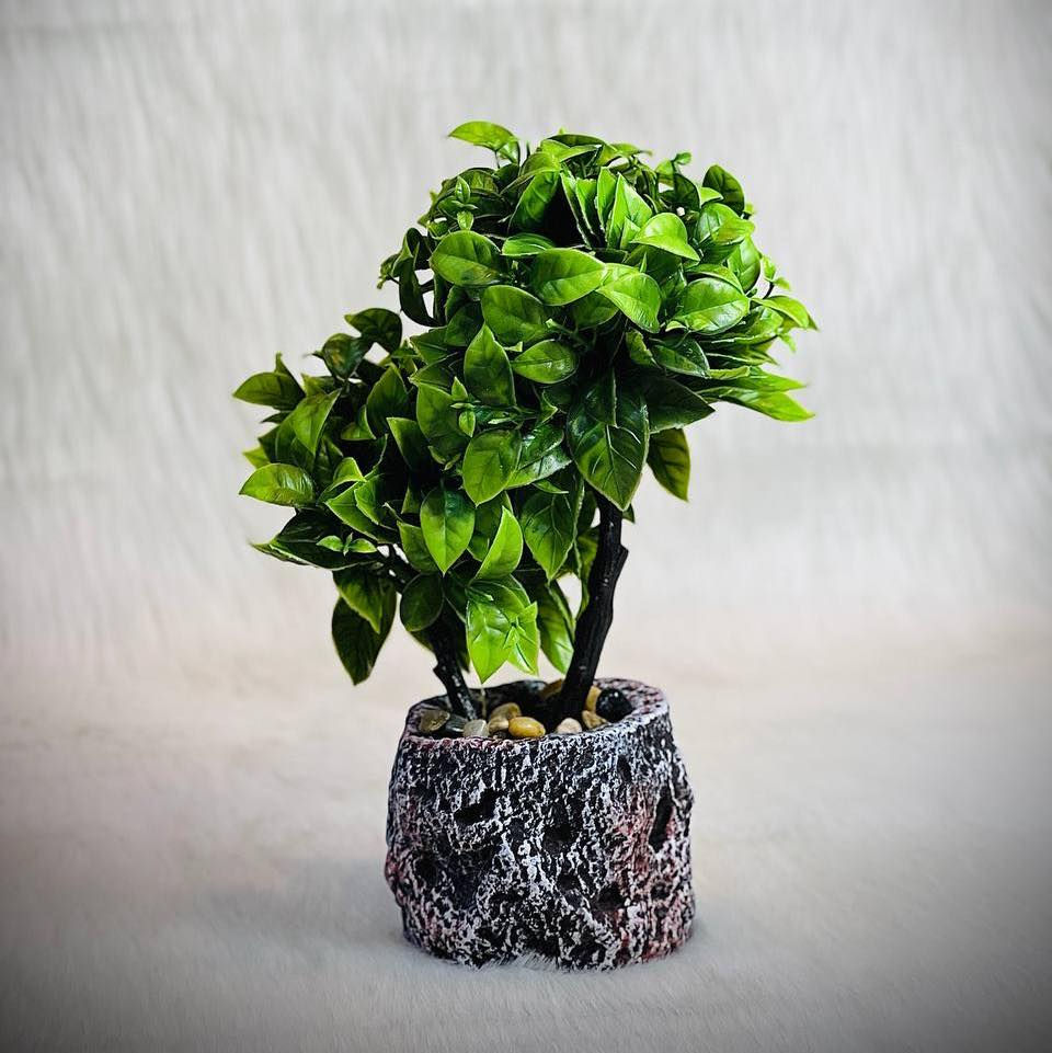 سندان + نبات صناعي حجم صغير 🪴 
السعر ( 6,000 ) دينار ✅

خدمة التوصيل متوفرة داخل الموصل وجميع محافظات العراق 🚕

للطلب او الاستفسار يرجى مراسلتنا على صفحات التواصل الاجتماعي 📨
او الاتصال على : 📱
كورك : *********** 
اسياسيل : ***********

العنوان : الموصل / حي الفلاح - مدخل الملعب - شارع ١٥ مقابل العمارة الزرقاء 📍
