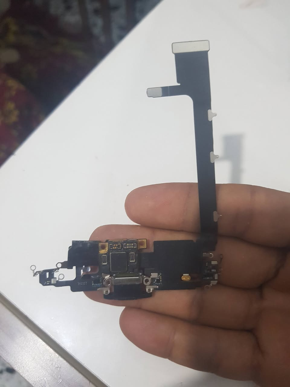 يالله
حبايب كامره اماميه معه فيس ايدي شغال 11برو ماكس زاد فلات 11بروماكس زاد بطاريه 11برو ماكس نسبه ٨٨ مالت تفصيخ كلهن ب٥٠ وبيهن مجال عنواني بابل تقاطع الثوره 
***********
