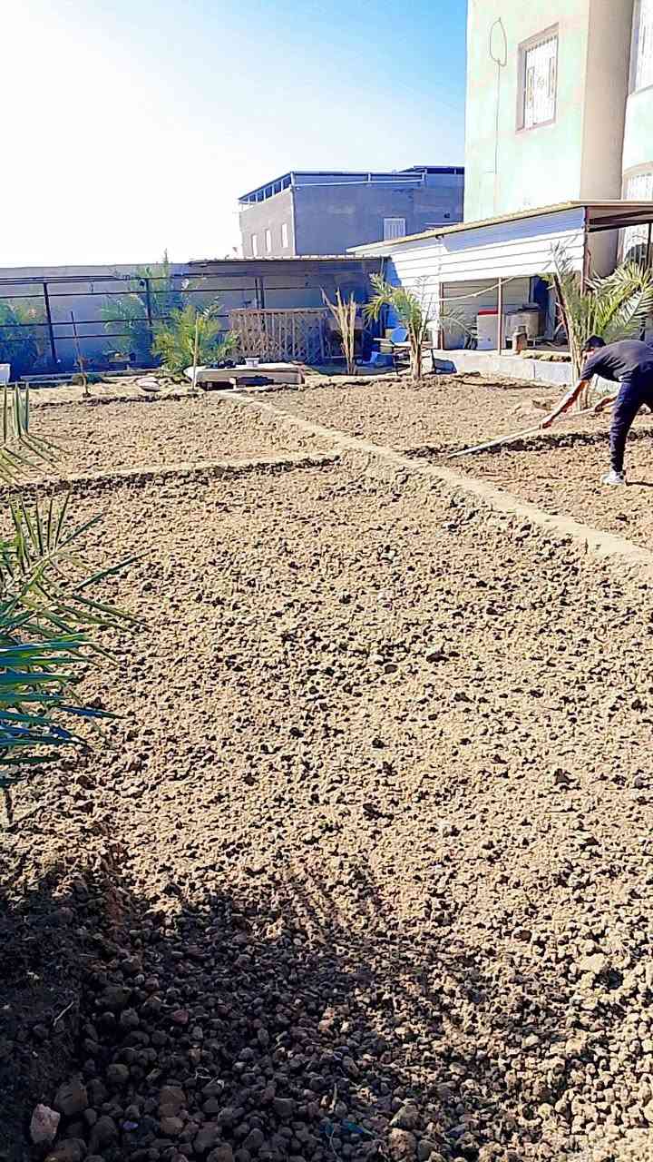 السلام عليكم اخوان حراثة حدائق وترتيب وزراعة الثيل ***********بي واتساب مكاني بني  منصور
