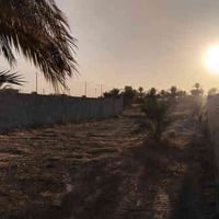 على بركة الله قطعة أرض زراعي للبيع طابو ٢٥ تحويل مباشر واجه ١٥م نزال ٤...