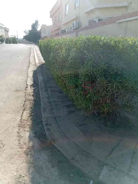 حديقجي في اربيل + تصميم وترتيب ديكورات 
زرع حدائق + أدامه شهريه+ زرع اشجار + تقليم الأشجار +قص ثيل 
تنظيف وترتيب الحدائق + قلب وتنظيف تربه ترتيب +
تبديل تربه + ترتيب سياج الحدائق بل الملون 
ترتيب اطارات الحدائق بل حصو الملون الاستفسار 

***********
