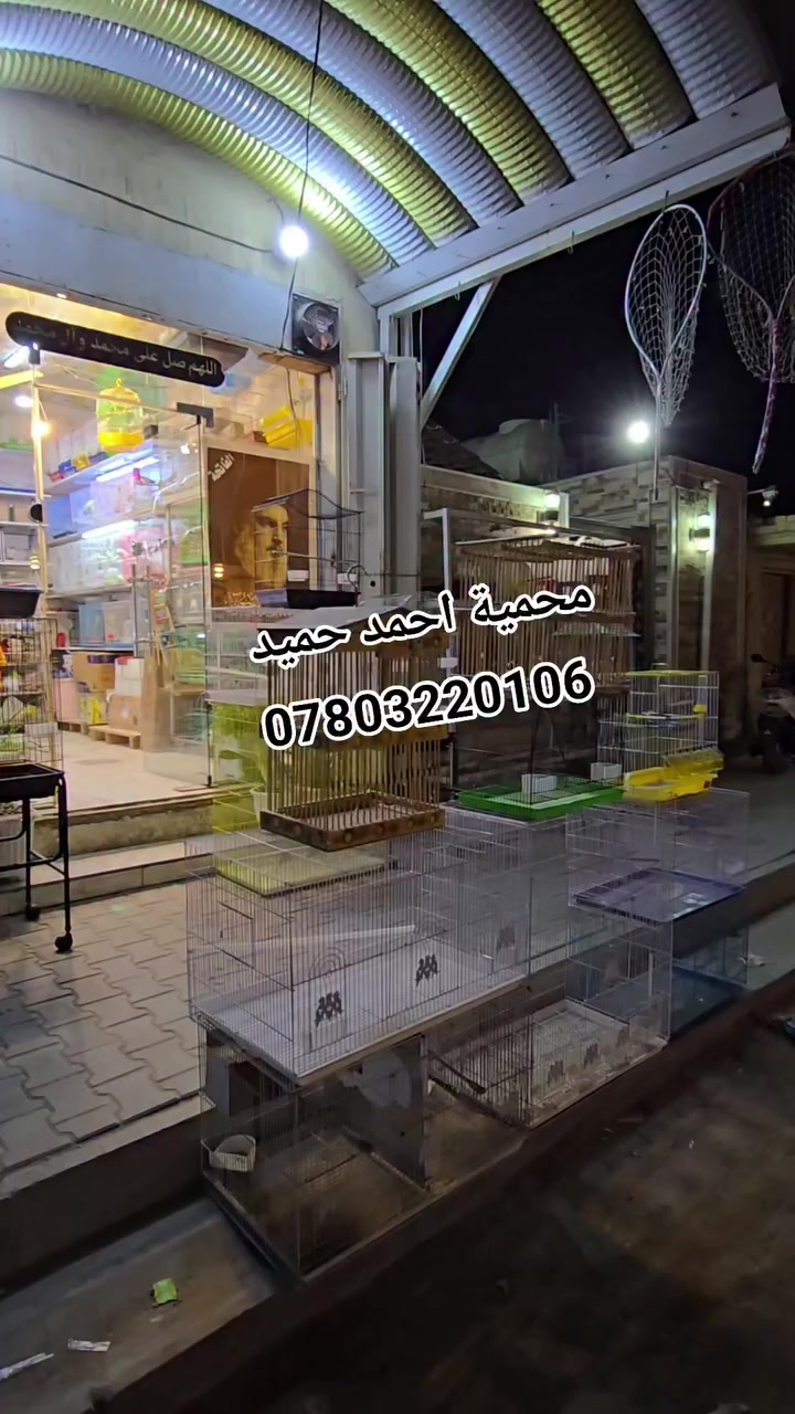 اللهم صل على محمد وآل محمد 
محمية احمد حميد 
متوفر كافة انواع الطيور ومستلزمات الطيور 
نتشرف بالجميع 
العنوان الرميثه نهاية شارع الجمله للإستفسار الاتصال ع الرقم ***********
