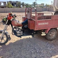 ستوته • أم طير • للبيع