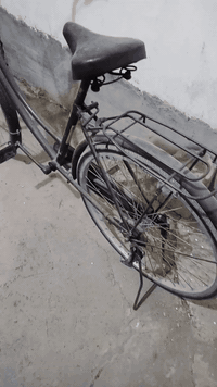 بايسكل 26 • ياباني • ماروني