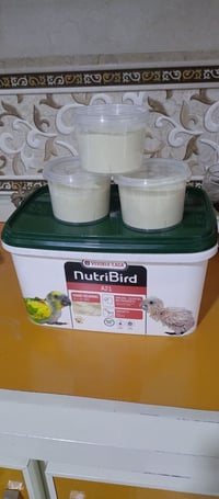 سرلاك • طيور