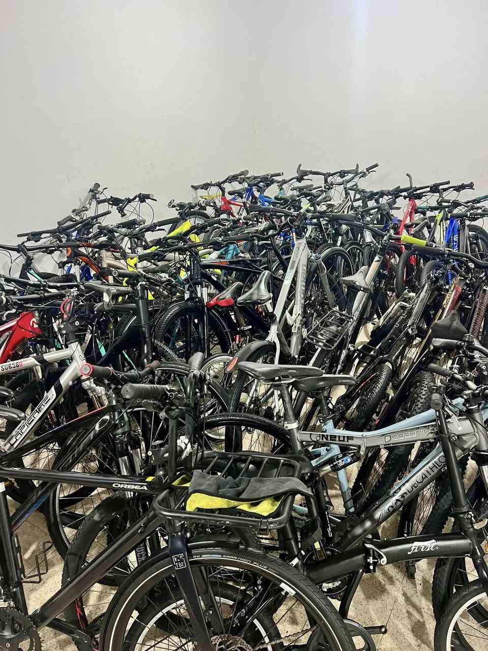 مرحبا بكم نصر الله للدراجات الهوائية  🚴
متوفر بضاعة أصلية أوربية جودة عالية 

☎️0666650360

📌العاصمة


**إذا كنت صاحب هذا الإعلان وتريد حذفه لأي سبب، رجاءا أرسل رسالة إلى الدعم الفني**