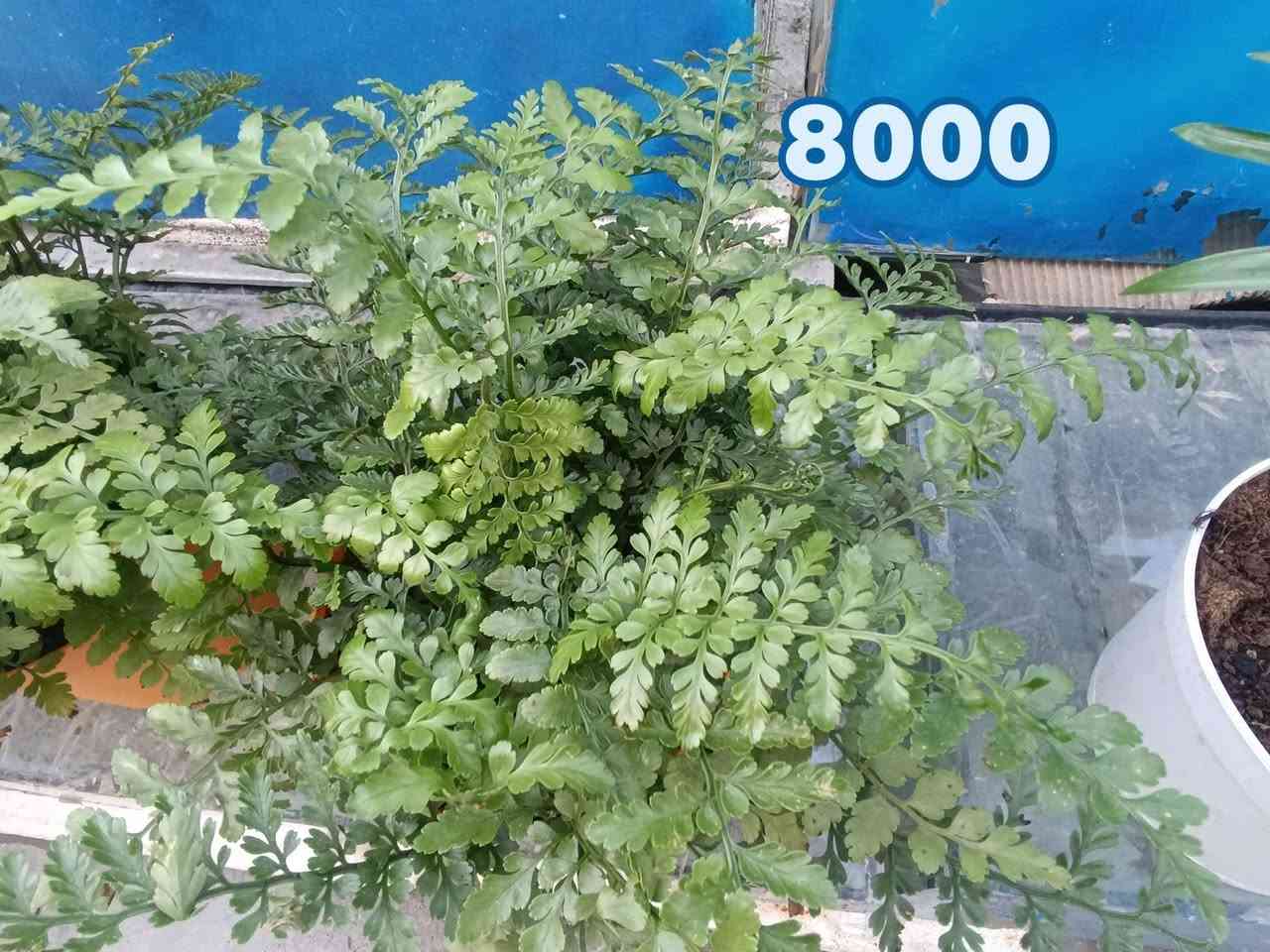 تخفضيات تعال صفحه وشوف كلشي اكو 
***********
