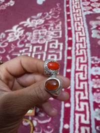 مرجان تونسي • يماني ١٦غ • بكهرب بولوني