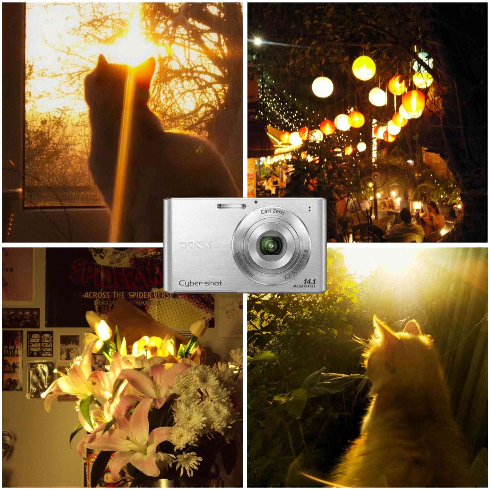 📸 كاميرا سوني Sony Cyber-shot DSC-W350

🔹 الدقة: 14.1 ميگابكسل
🔹 زوم بصري: 4×
🔹 تصوير فيديو: HD 720p
🔹 شاشة: 2.7 إنج

📦 الحالة: ممتازة جدًا 

المحتويات حقيبه للكامرة وللشحاحن + شحان اصلي + بطارية اصليه 
+ رام 64 غيغا ❤️‍🔥❤️‍🔥❤️‍🔥

💰 السعر: 150 الف دينار (قابل للتفاوض البسيط)
📍 التسليم: استلام يد بيد / توصيل متوفر
📩 للتواصل: *********** بغداد, العراق
