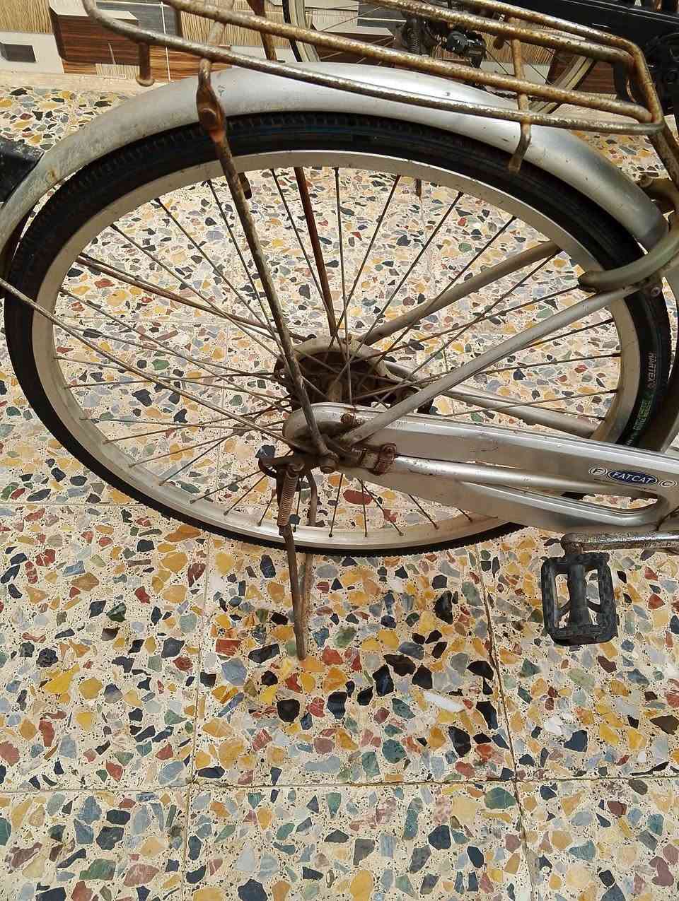 سلام عليكم بايسكل ( بناتي )
للبيع عنوان كمالية شارع جامع 

للاستفسار ***********
