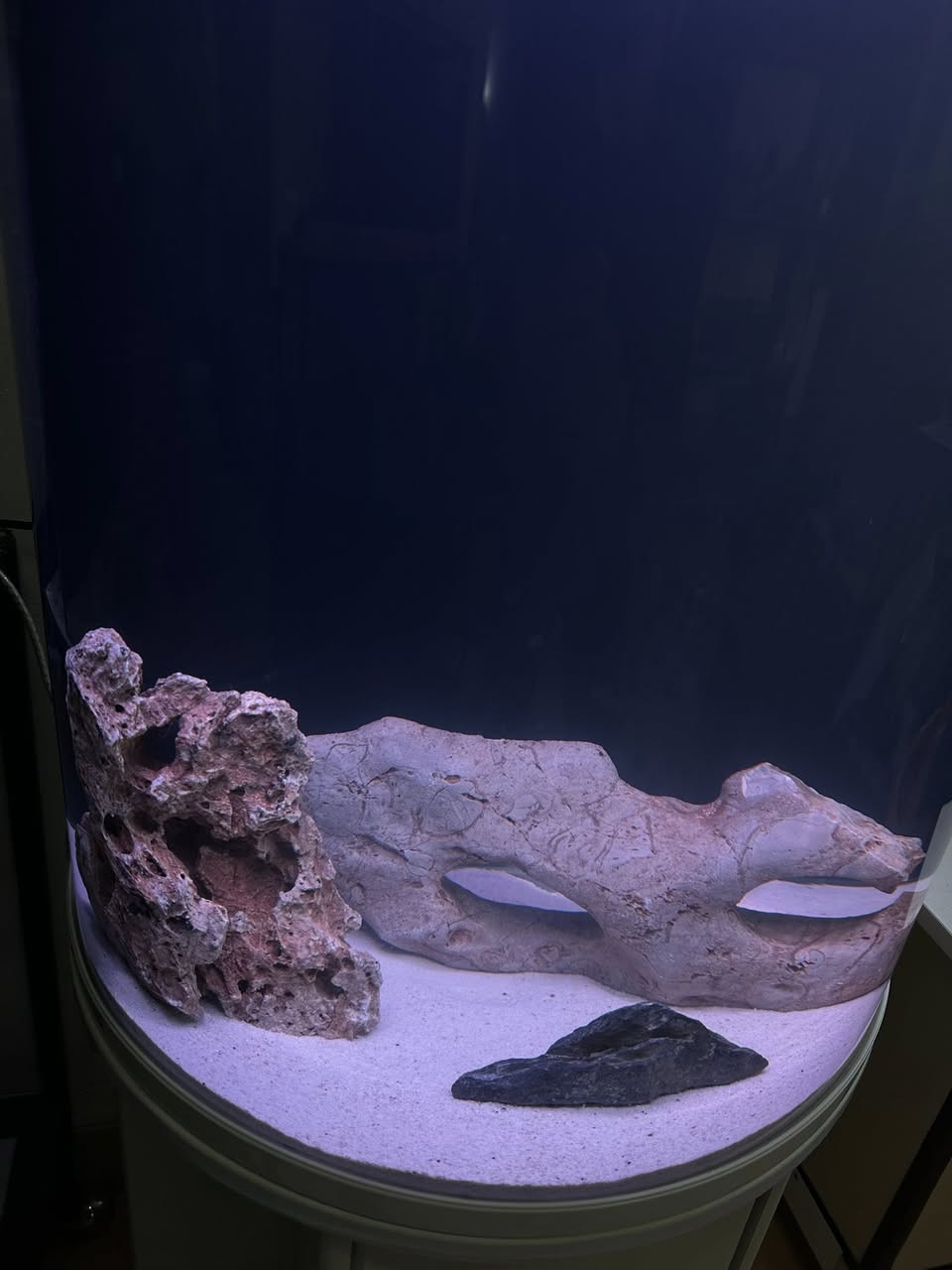 نرخی بۆتە ١٣٥ ھەزار داشكانی بۆ كراوە
حەوزێك پێشی كامل خڕە و تایبەتە بۆ  جوانی  
ئاوگۆڕینی ناوێت فلتەری شەریكەی خۆی لەگەڵە 
لیدێكی مواسەفاتی شەریكەی  تێدایە چەندین ڕەنگی جیاوازی تێدایەو كز و زیاد ئەكرێت بە خواستی خۆت
مۆدی گۆڕینی ڕەنگەكانی تیایە بە شێوەی ئۆتۆماتیك
 چەند بەردێكی زۆر تایبەتی لەگەڵدایە
ژێری لمێكی زۆری تێدایە
پشتی  باگراوندی ڕەشی لێ دراوە
قیاسی حەوزەكە بەبێ مێز درێژی ٦٠ سم بەرزی ٧٦ سم تیرەی پانیەكەی بۆ پێشەكەی ٣٦ سم 
بەرزی حەوزەكە بە مێزەكەوە ١٤٥ سم
تێبینی : حەوزەكە بەكارهاتووە
___
ئەوەی ویستی نامە بنێرێت لە واتس ئەپ یا ڤایبەر 
***********
گەیاندنمان تەنھا بۆ ناو سلێمانی ھەیە
