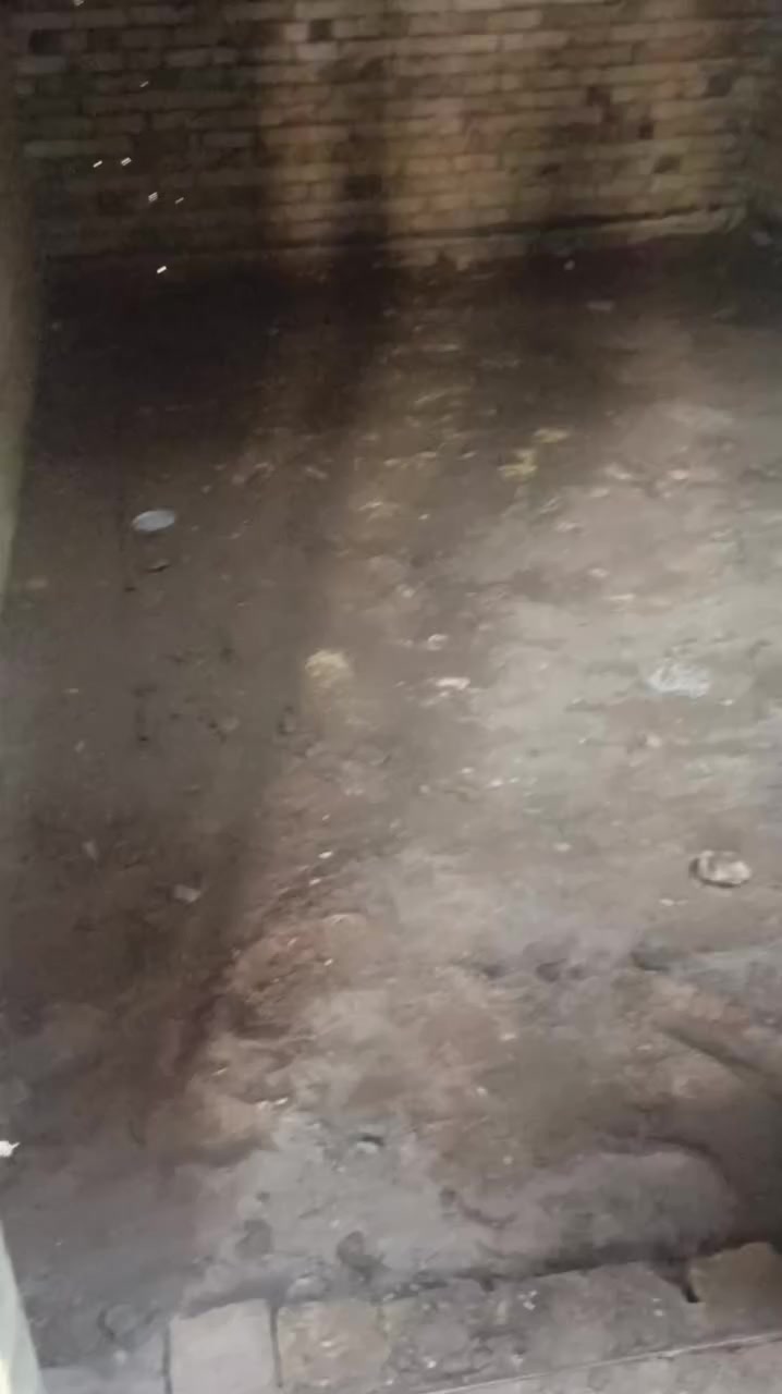 سلام عليكم قفاز حدل اوتربيع البيوت نتصال على الرقم بية واتساب ***********
