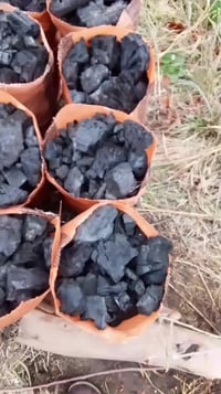 فحم شواية • توصيل • كونية