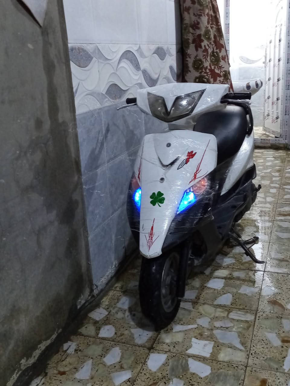 ماكس ثعلب للبيع بيها خيط تبخير مكاني بغداد حي اور السعر 325 للاستفسار ***********
