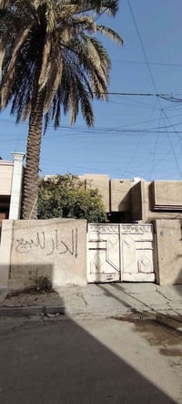 الدورة شارع 60 فرع مطعم سندريلا دار البيع طابو مساحة 120 6X20 للتواصل ...