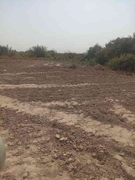 سلام عليكم ارض زراعيه للبيع الف متر بل عباسيه عله تبليط وكهربا وماي ***********
