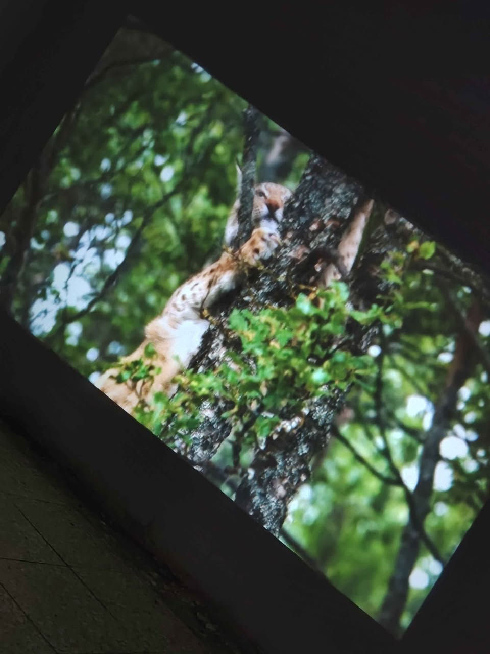 سينما ببيتك وبسعر بلاش! 📽️✨
للبيع بروجكتر 4K شبه جديد، النظافة 100% يعني لسه بريحة الشركـة. الي يدور نظافة ووضوح عالي هذا الخيار الصح إلك.
​السعر: 70 ألف، وتدللون بـي مجال قليل للطيبين.
​الاستفسار عالخاص، والي يسبق هو الرابحان! 😉 *********** بغداد, العراق
