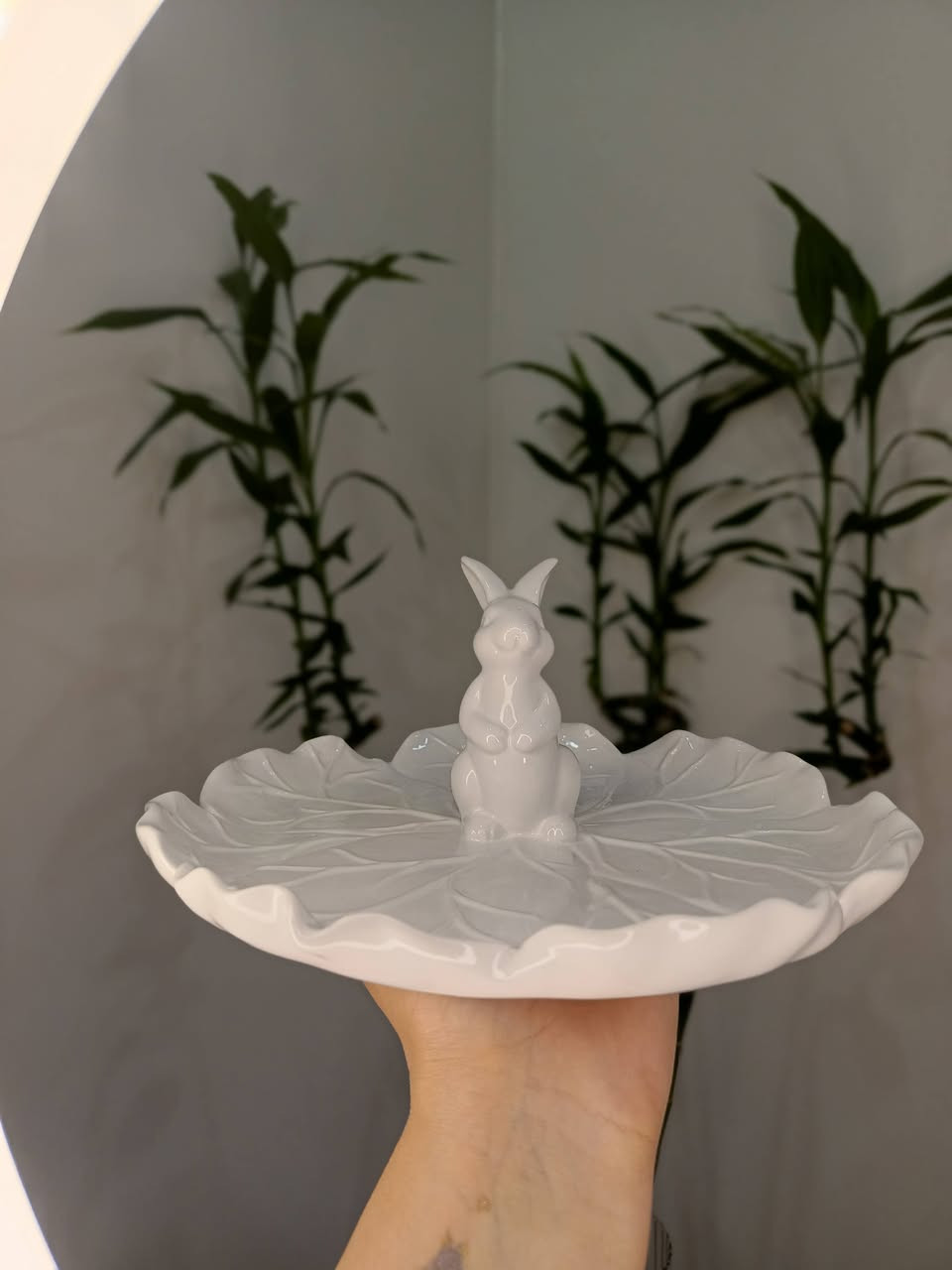 اكسسورات منزليه باسعار مناسبه الاسعار موجوده بقناة تلي🎀✨🫶 او راسلونا👇💭
 https://t.me/+Ug0nl5AGIYAxN2My


**إذا كنت صاحب هذا الإعلان وتريد حذفه لأي سبب، رجاءا أرسل رسالة إلى الدعم الفني**