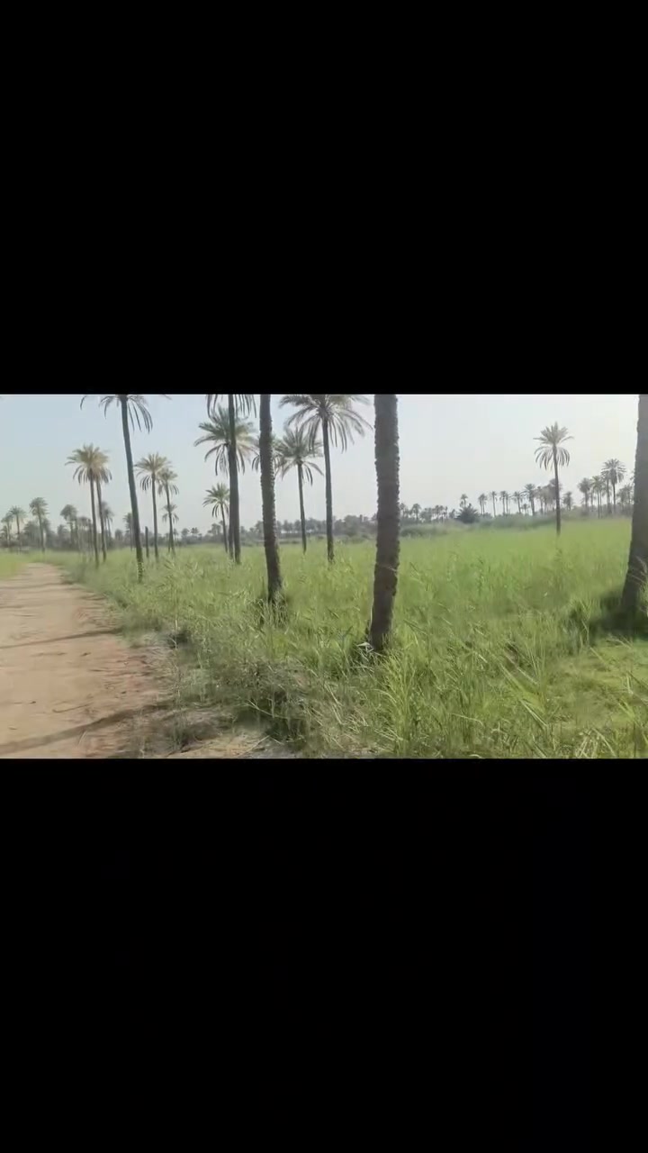 السلام عليكم
دونم مع بيت مع استقبال خارجي كذالك محل مبني باب دونم 
طابو زراعي سند 25 تحويل اسهم الارض كله مسيجه
تفاصيل الارض بالفيديو 
موقع كربلاء من ابو جذوع 
تبعد عن مركز مدينه 12 كيلو 
استفسار 
***********
***********
