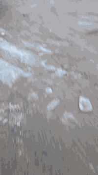 السلام عليكم نساف ناصر احمد ٢٠٠٩للبيع ***********و***********
