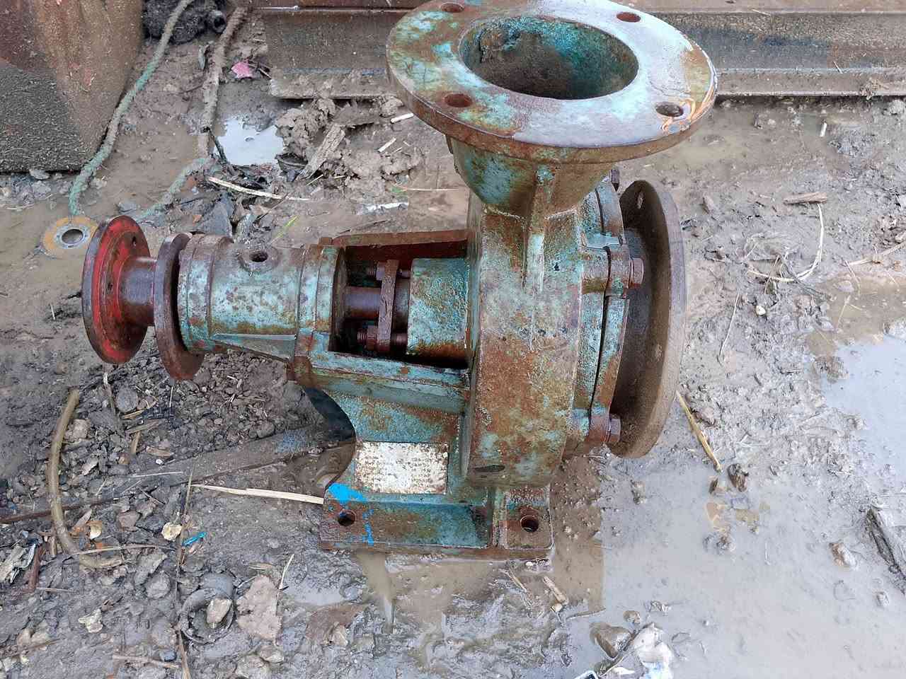 سلام عليكم خنزيره ماء عدد 2 وحده 5 في 4. والثانيه4 في 4  السعر300 الف العنوان واسط قرب سيطره الج  هاتف***********
