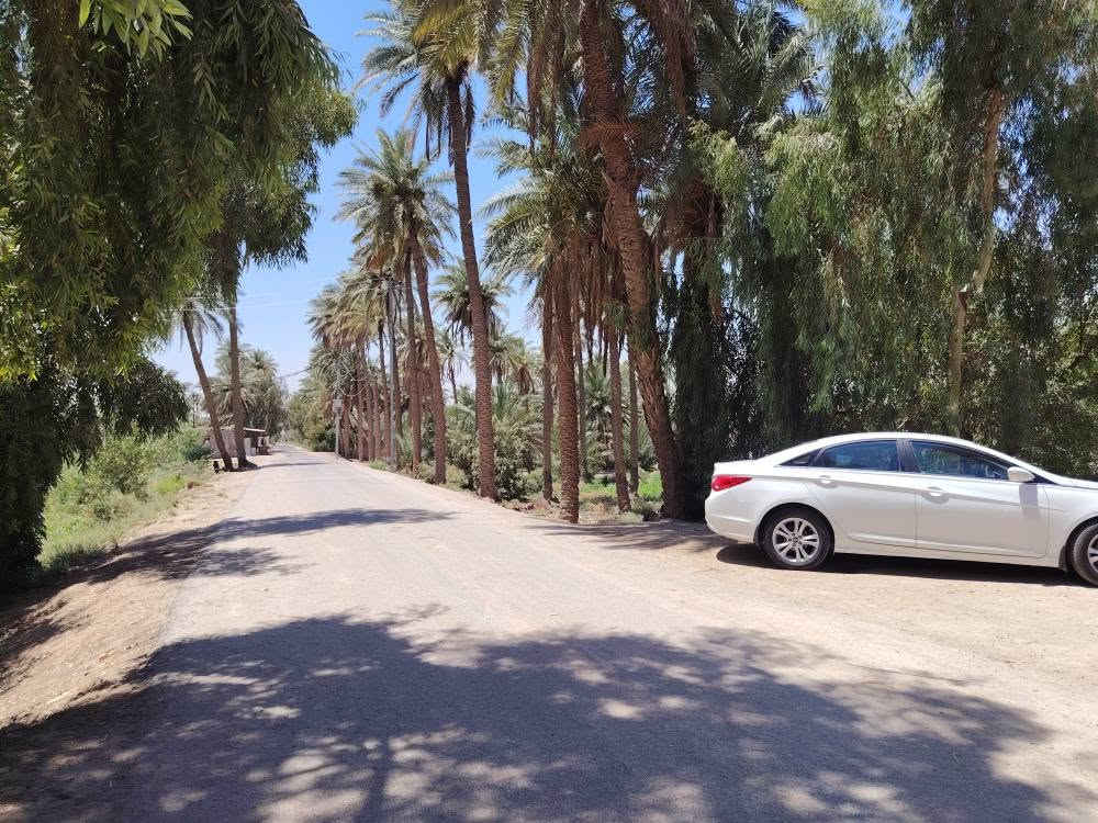 سلام عليكم مزرعه دونمين عل شط الكوفه طريق الزوار طريق العلما بيه بيت جاهز بيه ماطور مال ماي وبيه نخل حمال كله  تبليط لباب. طابو صرف تحويل ثاني يوم مكان مرتب كلش والسعر مناسب
اتصال أو استفسار
وتساب *********** النجف, العراق
