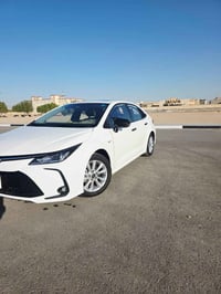 كورلا هايبرد • ٢٠٢٤ • بغداد