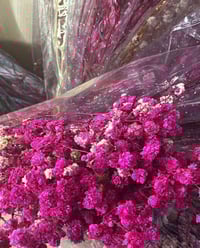 جبسوفيل • توصيل بغداد • توصيل محافظات