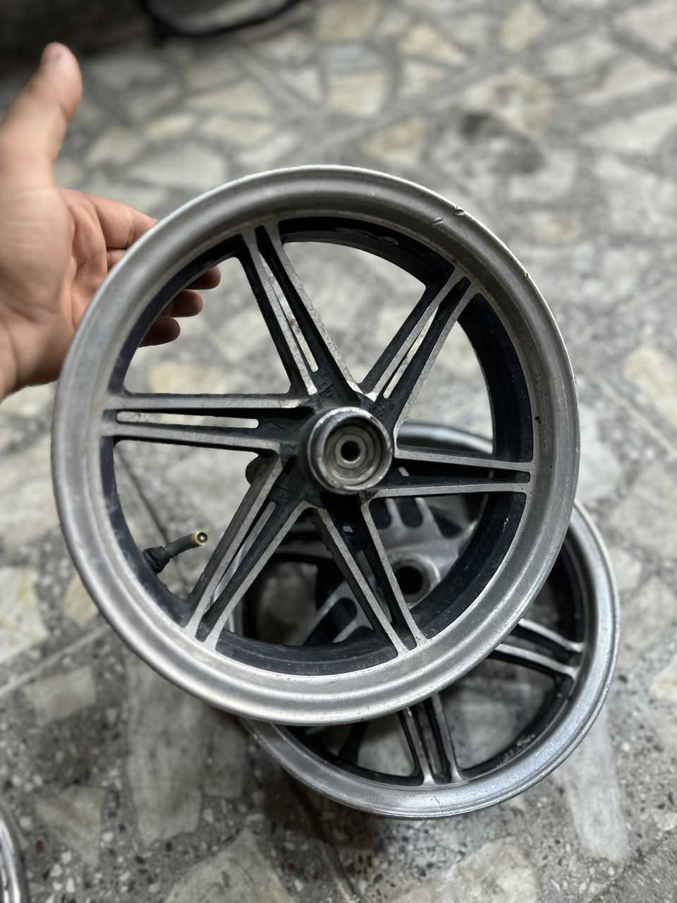 سلام عليكم ويل نجمه اصلي مال رمبه للبيع مكفول من كلشي اي ستفسار خاص توصيل عدي مكاني نجف ***********
