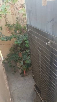 ثلاجة • بلا عيب • کەلار