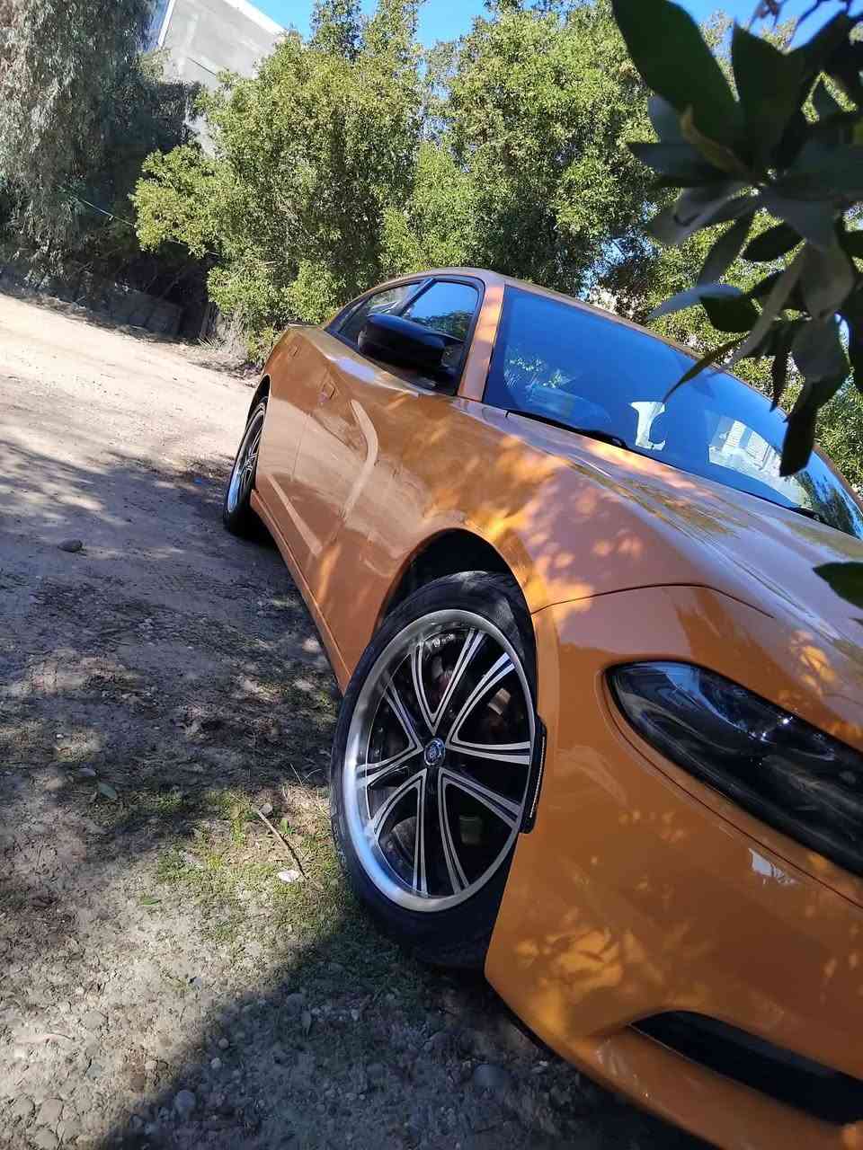 السلام عليكم 
جارجر اجرة مديل15/18 رقم بغداد سياره تخم تاير جديد

 محرك كير جديدتدفئ تبريد شاشه جبيره كشنات جلد  

sxtمعروفه مواصفاته البيع او المراوس

تفاصيل اكثر علق توصلك التفاصيل كامله


**إذا كنت صاحب هذا الإعلان وتريد حذفه لأي سبب، رجاءا أرسل رسالة إلى الدعم الفني**