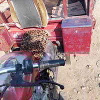 ستوته • موديل 2013 • اوراق مكمركه