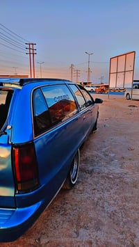 دولفين البيع اومروس السعر25 اشعندك امروس خابرني 07829017244مكينه كريرح...