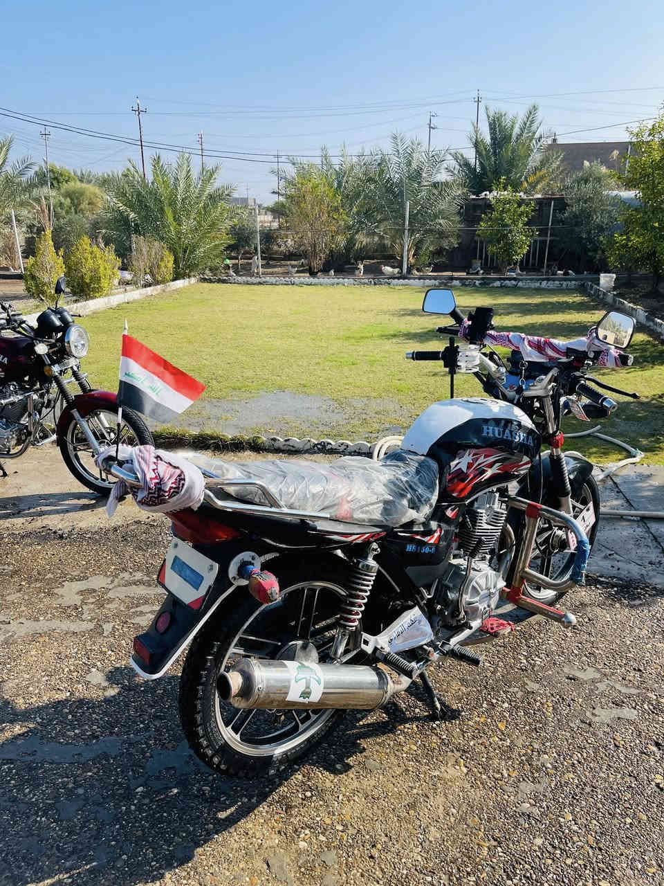 سلام عليكم هيوشه موديل ٢٠٢٣اوراقه يم محمد مزهر نضيفه كلش برغي مناقصه للبيع مكاني الرمادي زنكوره السعر ٨٥٠وبيه مجال❤️***********
