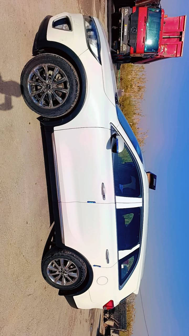 سورنتو ١٥ شكل ١٦  سعودي كفاله صبغ وضربه وتبديل بيه مكينه لا تنقيص ولا تبخير بيه كازكت مفتوح فقط كير مكفول سته سلندر فول عدا البانوراما كشن كهربائي شاشه جبيره كامره دواره حساس امامي وخلفي مري شفط ٧ راكب ٣ قطع تبريد سعره ١٩٥$ وبيه مجال مكانه الديوانيه رقم بغداد دولي ترهم مراوس بأقل ***********
