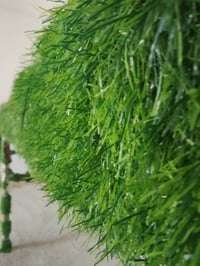 اميوز امخضر للبيع رقم الهاتف 07778662180