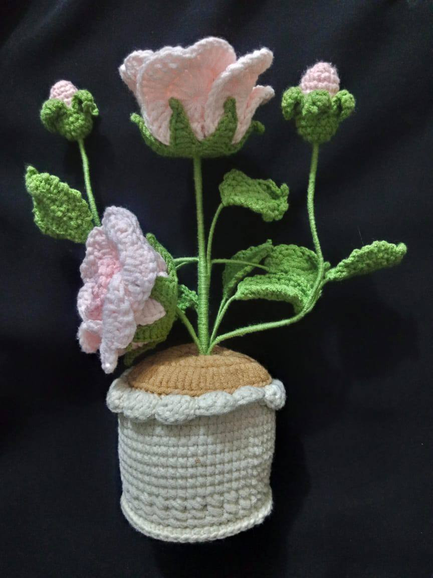 يا الله أسعار مناسبه جدأ وبضاعه جديده 
توصيل موجود


**إذا كنت صاحب هذا الإعلان وتريد حذفه لأي سبب، رجاءا أرسل رسالة إلى الدعم الفني**