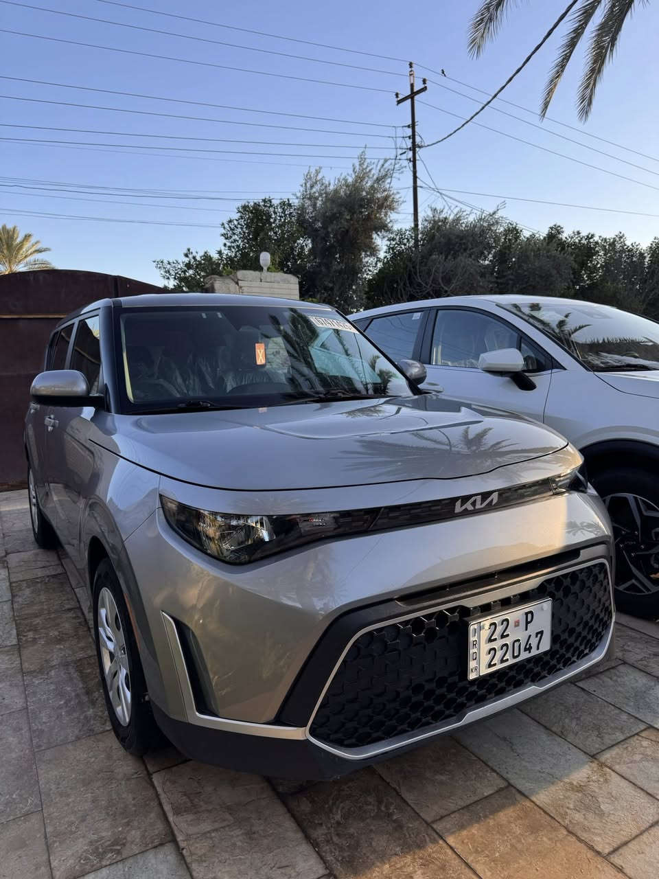 صول وارد امريكي
موديل 23
موصفات
شاشه
كامره دواره 
رادار امامي نقطه عمياء
توقف ذاتي
شاشه دجتل 
مودات قياده
تحكم ستيرن جهتين
حادث سياره بارد بالجاملغ خلفي بارد فقط بدون صبغ

ماشيه 37 
رقم اربيل بسمي
السعر 160 وبيها مجال بسيط
مكاني بابل
 الرقم ***********
