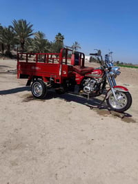 ستوته • موديل 22 • مكفوله