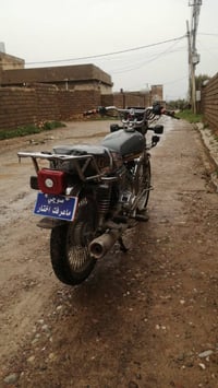 سونيك • ٢٠٢٣ • نشاطة