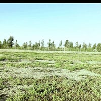 للبيع نص دونم بالجسر الفرنسي النزله اللي مقابل سكلة عكيل قريب من النهر...