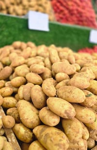 الديوانيه حي العسكري • خضار وفواكه • توصيل