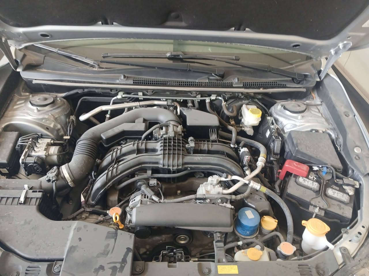 سوبارو معوقين  باقي على تنزيل بيانات رقم ذي قار  ابيع وكاله عامه من المعوق بسم المشتري سياره حلوه حادثها جاملغ الخلفي فقط يعني بجم صاحي سياره ترايك ٢٠٠  إرباك برده فقط  ماشيه ٤٢ الف  للاتصال ***********
