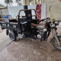 ستوته • فحل • هور حسين