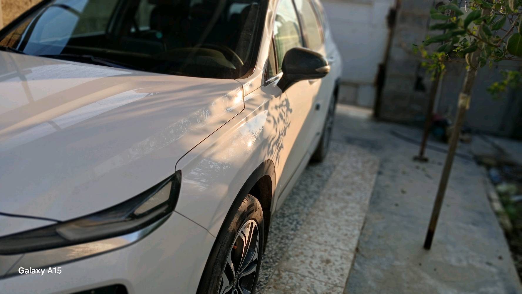 سنتافيه ٢٠١٩ خليجي الضرر واضح بالصوره